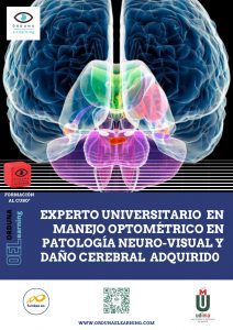 Dossier Experto Universitario en Manejo Optomátrico en Patología Neurovisual y Daño Cerebral Adquirido